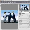 AKVIS ArtWork 9: Photoshop Plug-in Review