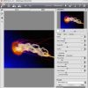 AKVIS Neon: Photoshop Plug-in Review